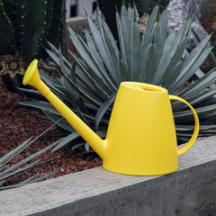 Long-Spout Watering Can