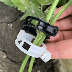 Tomato & Vegetable Plant Support Clips (100-Pack)