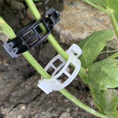 Tomato & Vegetable Plant Support Clips (100-Pack)
