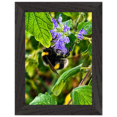 9cc4b7fb-4992-4e27-bee2-b40034a35609