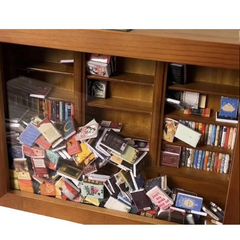 Étagère du/de la passionné(e) de livres miniatures