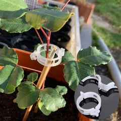 Tomato & Vegetable Plant Support Clips (100-Pack)