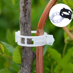 Tomato & Vegetable Plant Support Clips (100-Pack)